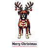 Merry Christmas Boxer Dog Motif