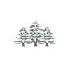 SCHNEEWALD - WEIHNACHTSKIEFER