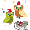 Hiboux de Noël