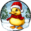 Duckling Christmas