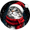 Cats Christmas