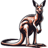 Kangourou