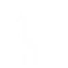 Dragon papillon blanc