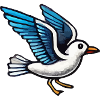 Gull