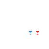 Foot