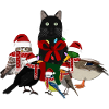 Blackbird Robin Owl Duck with Cat Christmas