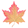 Autumn leaf
