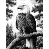 L aigle