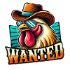 Chicken Wanted Chicken Keeping