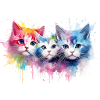 Farbenfrohe Britische Regenbogenkatzen