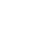 Doberman - Dog