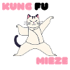 Kung Fu Miezekatze