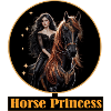Princesse du cheval : Cavalier de nuit