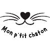 MON PTIT CHATON