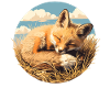 Foxes Fox