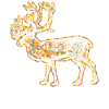 Caribou Geometric