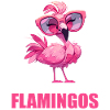 Flamants roses Flamant rose