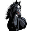schwarzes Pferd Silhouette