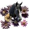 Pferdekopf Flower