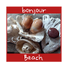 Shells Photo