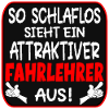Fahrlehrer
