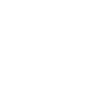 Viking Odin Head Icon
