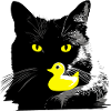 Chat noir avec canard couinant