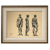 Anatomical Studies