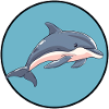 Mer des dauphins