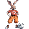 Rabbit Footballer
