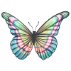 Colourfull Butterfly