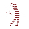 Swing Style Golf Golfing USA