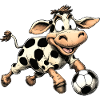 Cows Soccer / Soccer Cow