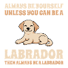 Labrador