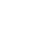 Lion Roi