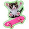 Skater Kitty with pink skateboard