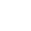 Jack Russell Terrier