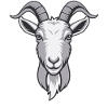 Ziege Ziegenbock
