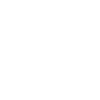 Lion agressif