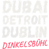 Dubai-Detroit-Dublin