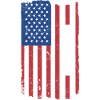 Chess Player Us Flag Chess