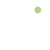 Palm trees