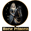 Princesse cheval avec des étoiles