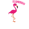 Crazy Flamingo Lady Crazy Lady