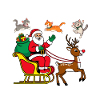 Cats For Everybody