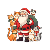 Cats For Everybody