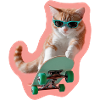 Ginger Skate Cat: Chill & Style
