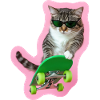 Cool Cat: Pure board style