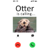 Otter Phone Display Otter Is