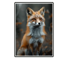 Füchse Fuchs